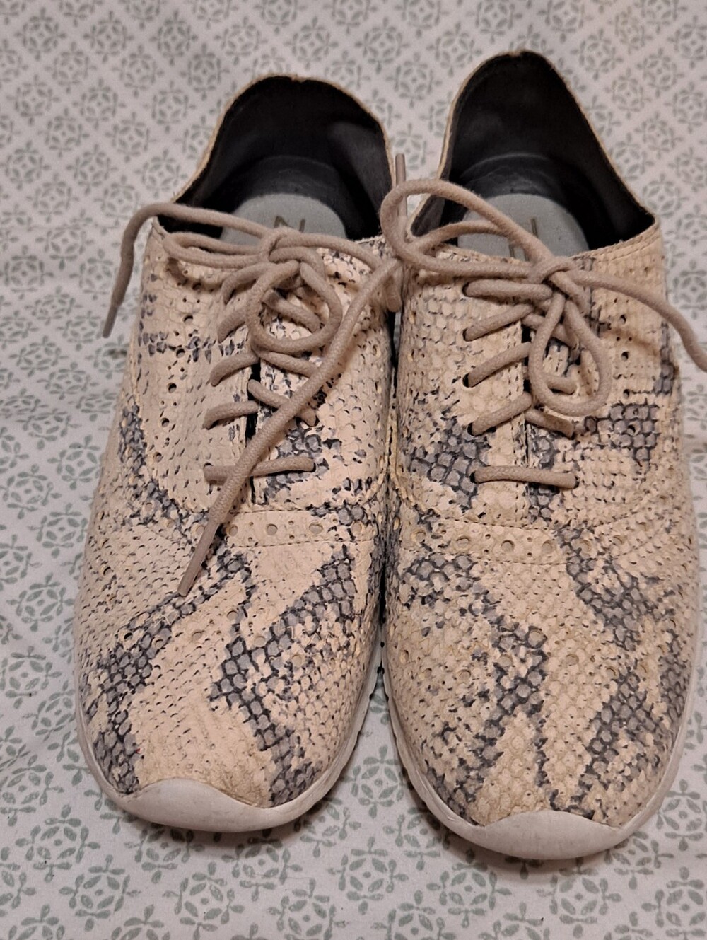 Cole Haan Snake-Print Lace-Up Leather Sneakers Sz 7B